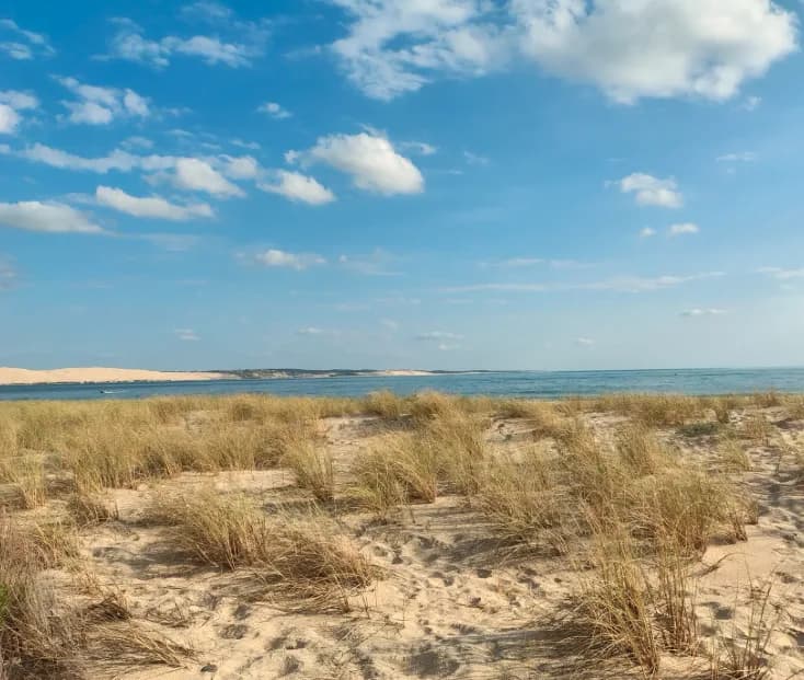Dunes du Cap Ferret