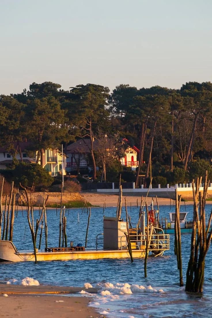 Cap Ferret